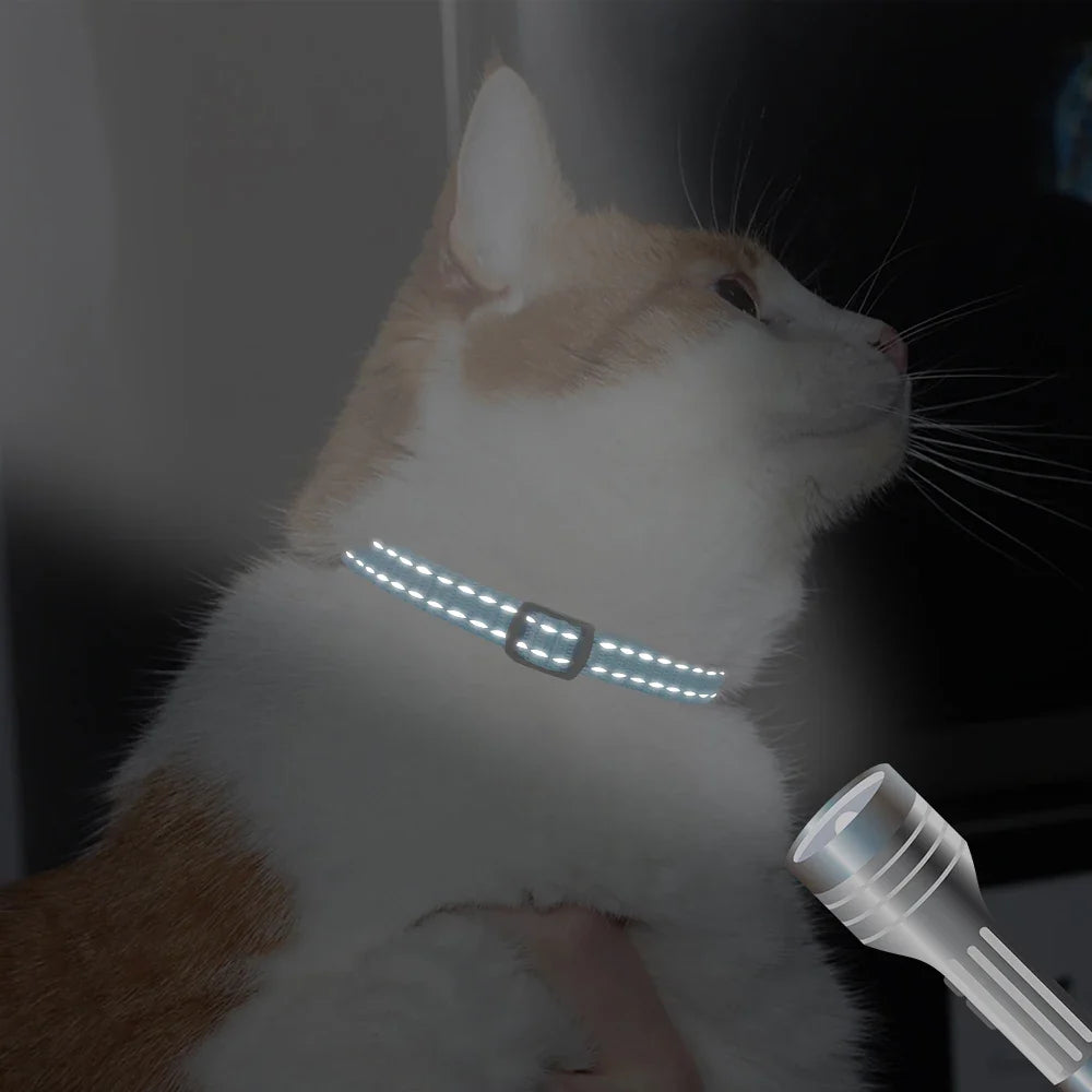 Personalized Cat Collar Reflective Nylon Dog - ProPawPet.com