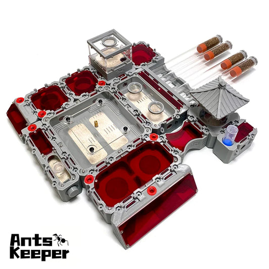 【Lego】Expandable Modular Formicarium Ant - ProPawPet.com
