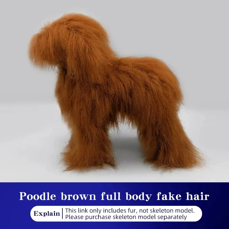 Pet Simulation Hair Beauty Poodle Whole – Dog Supplies