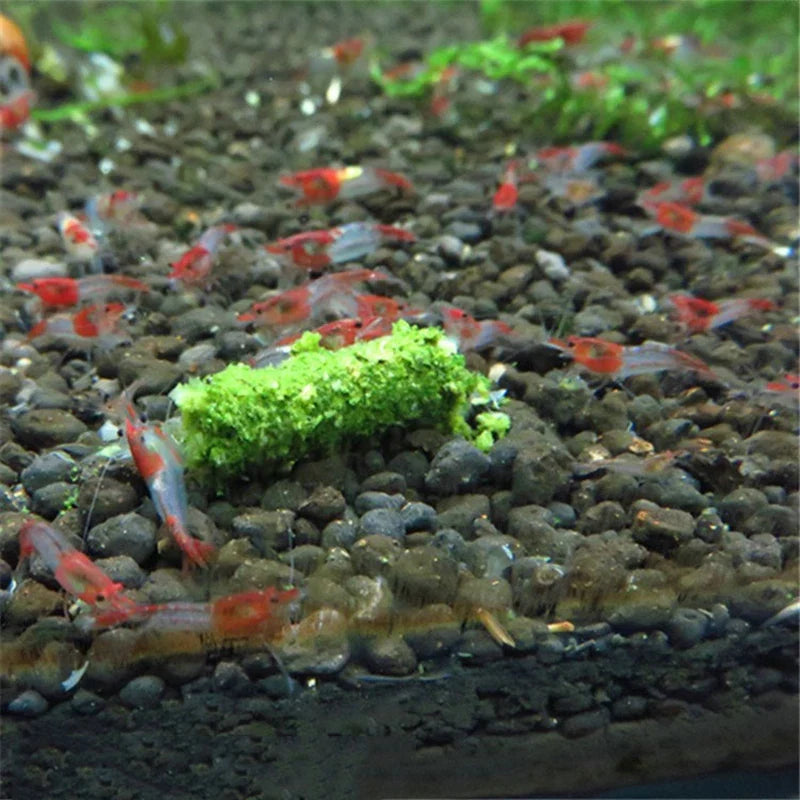35g Crystal Red Shrimp Food Natural Spinach - ProPawPet.com