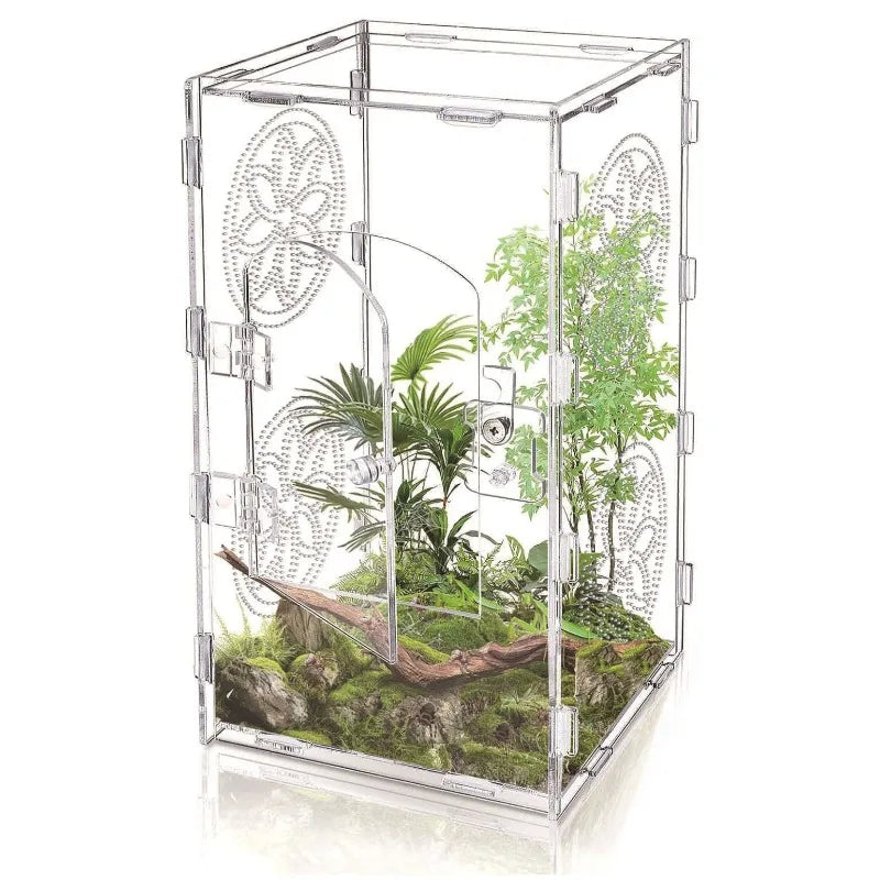 Reptile Pet Box Acrylic Spider Lizard - ProPawPet.com