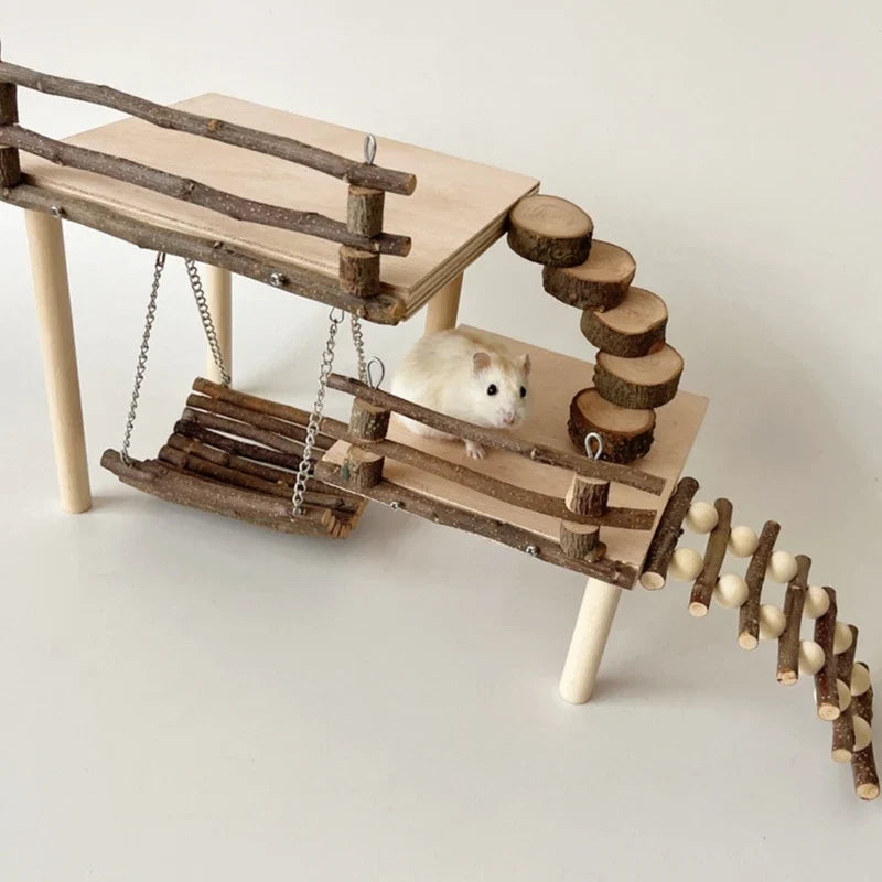 Hamster Swing Providing Safe and Exciting - ProPawPet.com