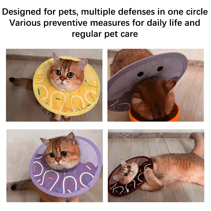 Pet Anti-Bite Lick Surgery Wound Healing Cat - ProPawPet.com