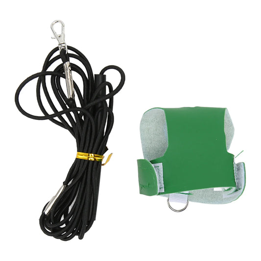 Bird Training Tool Bird Vest Leash Skin - ProPawPet.com