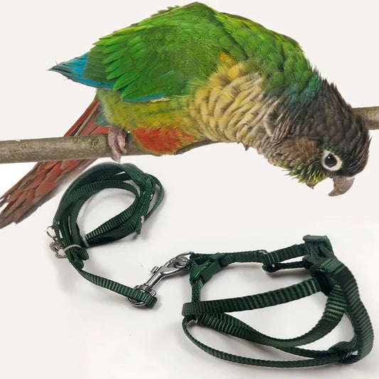 Parrot Training Flying Traction Rope - ProPawPet.com