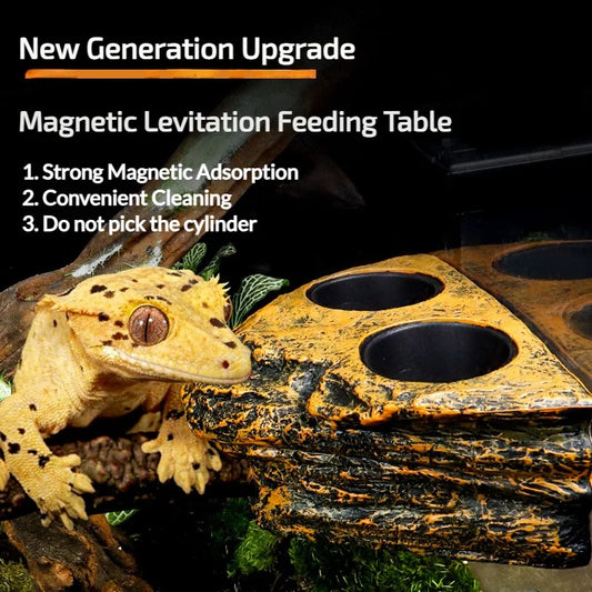 Reptile Magnetic Feeder Ledge Reptile Food - ProPawPet.com