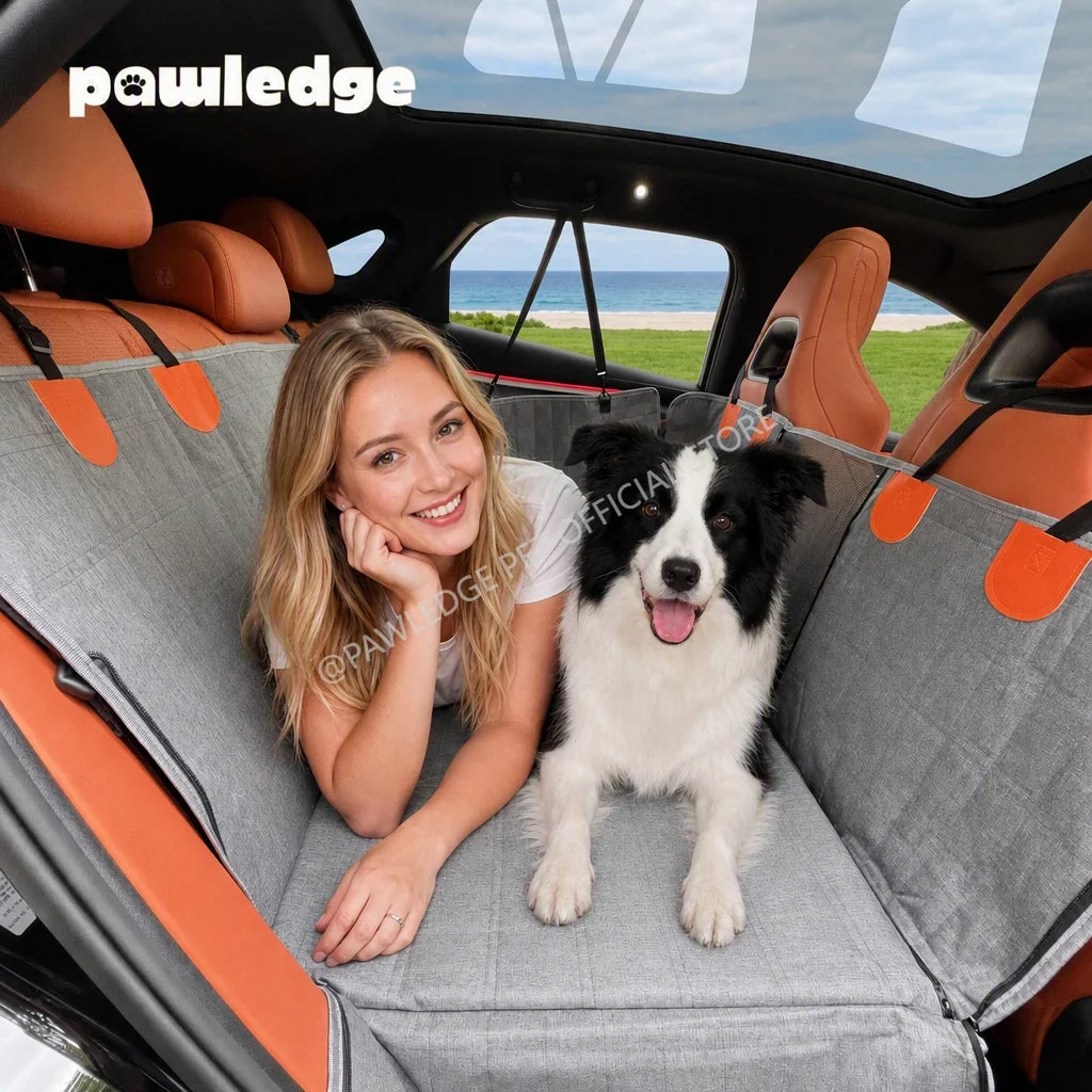 Hard‑Bottom Dog Back‑Seat Extender Hammock, - ProPawPet.com