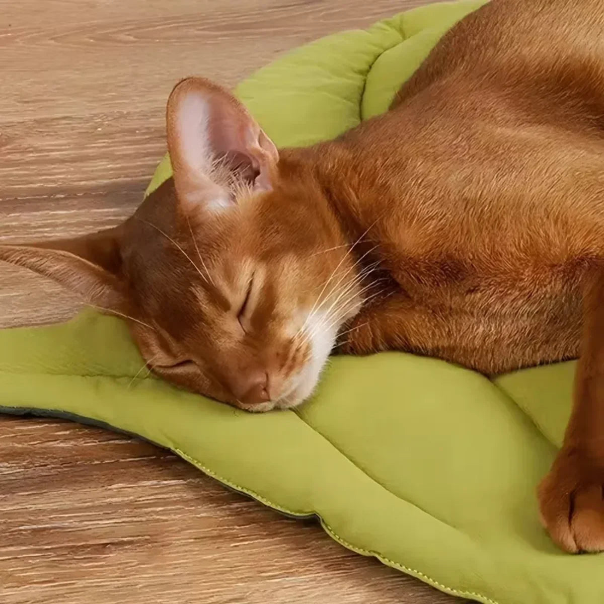 Portable Leaf Cat Bed Reversible Soft - ProPawPet.com