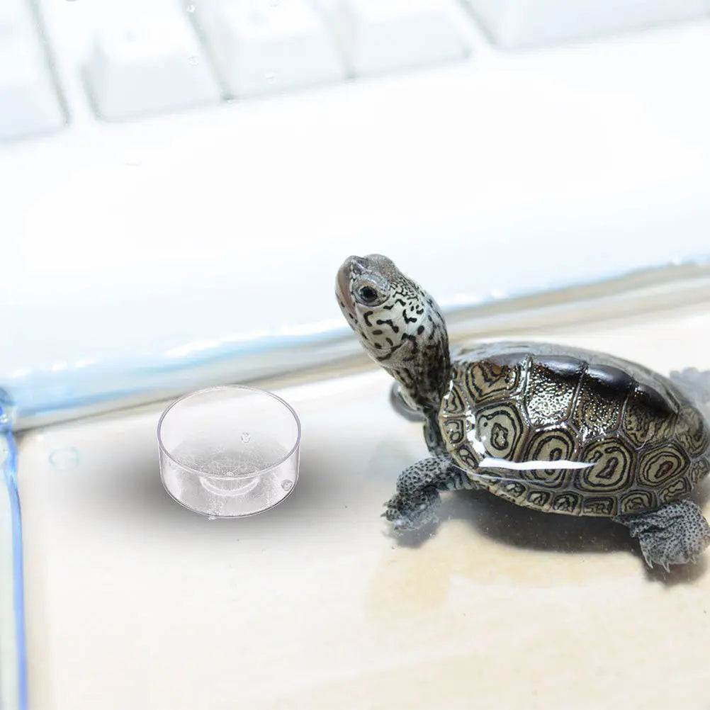 10Pcs Reptile Food Dish Acrylic Non-Slip - ProPawPet.com