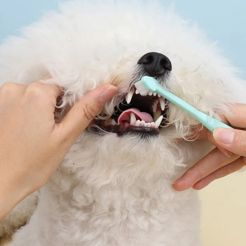 Dog Toothbrush Dog Teeth Cleaning 360 - ProPawPet.com