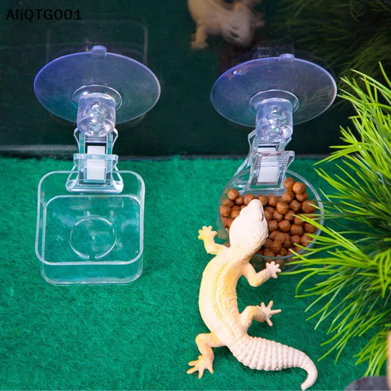 Reptile Water Food Bowl for Geckos Lizards - ProPawPet.com
