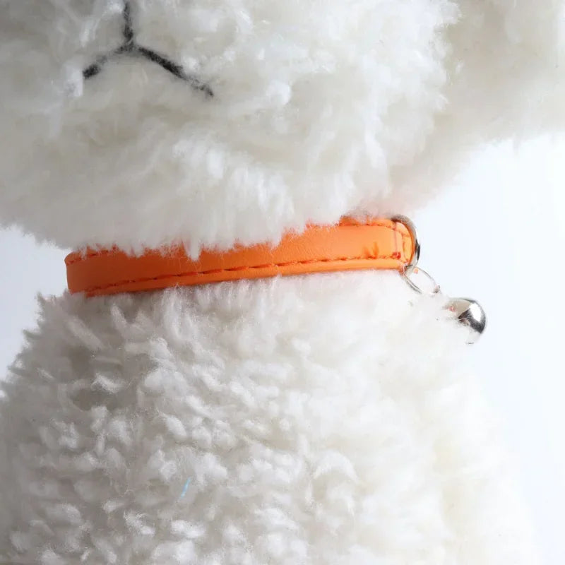Macaron Color Cute Pet Cat Collar, Elastic - ProPawPet.com
