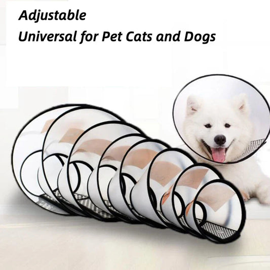 Pet Anti-Bite Lick Surgery Wound Healing Cat - ProPawPet.com