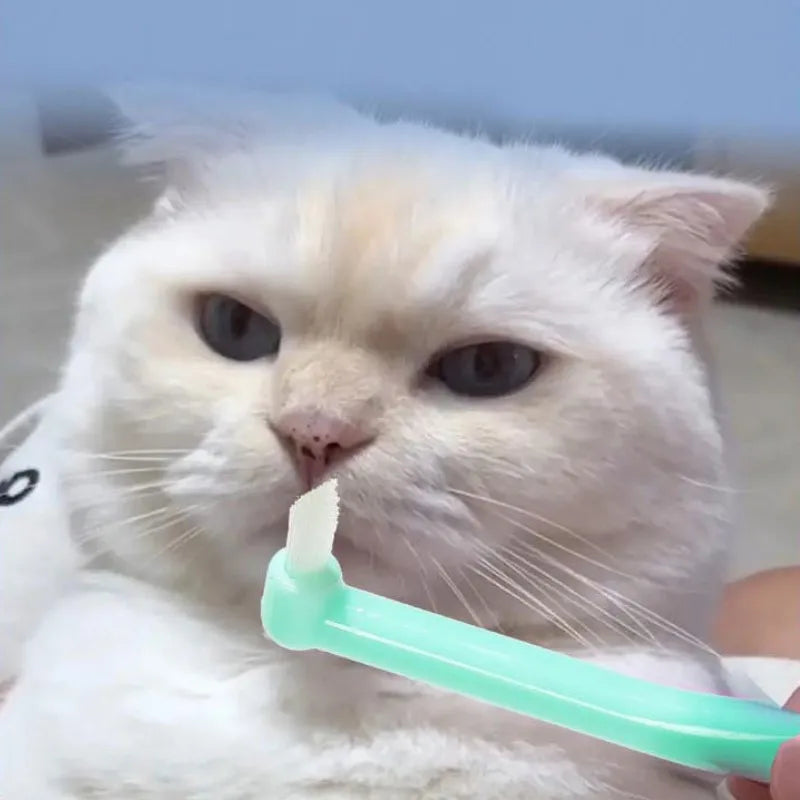Cat Toothbrush Oral Care Pet Toothbrushes - ProPawPet.com