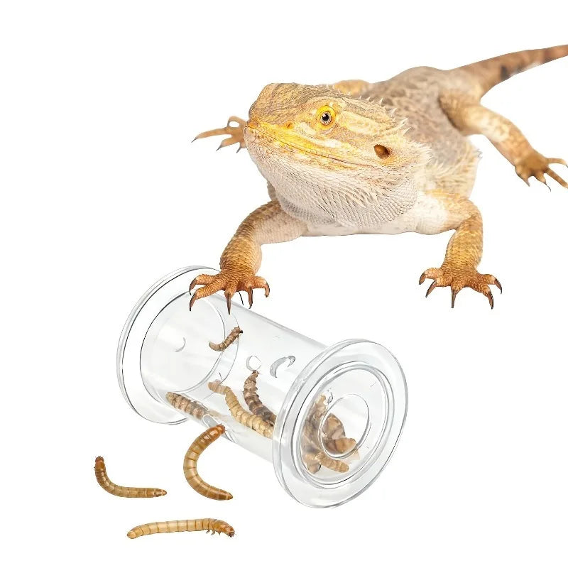 4/10pcs Interactive Feeding Toys for Bearded - ProPawPet.com