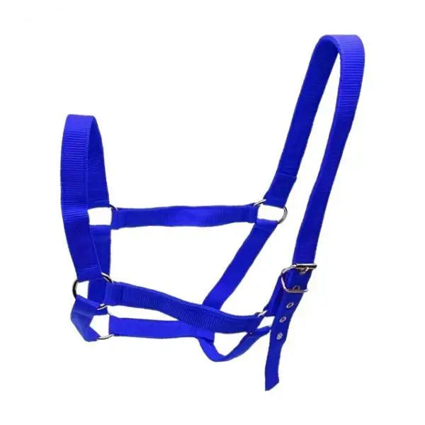 Strong PP Webbing Horse Halter Adjustable Padded Training Rope – 3 Colors