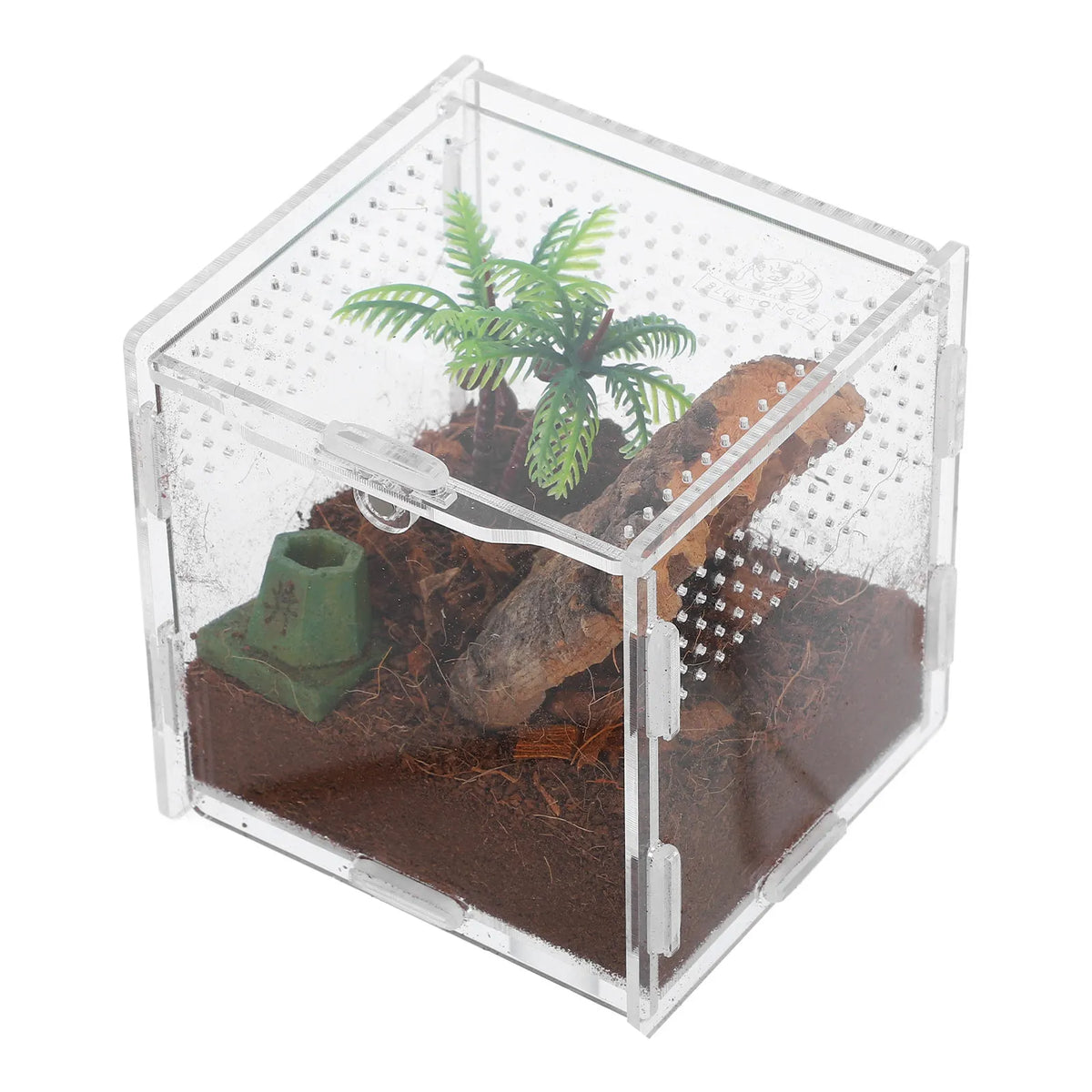 5pcs Pet Spider Box Compact Transparent - ProPawPet.com
