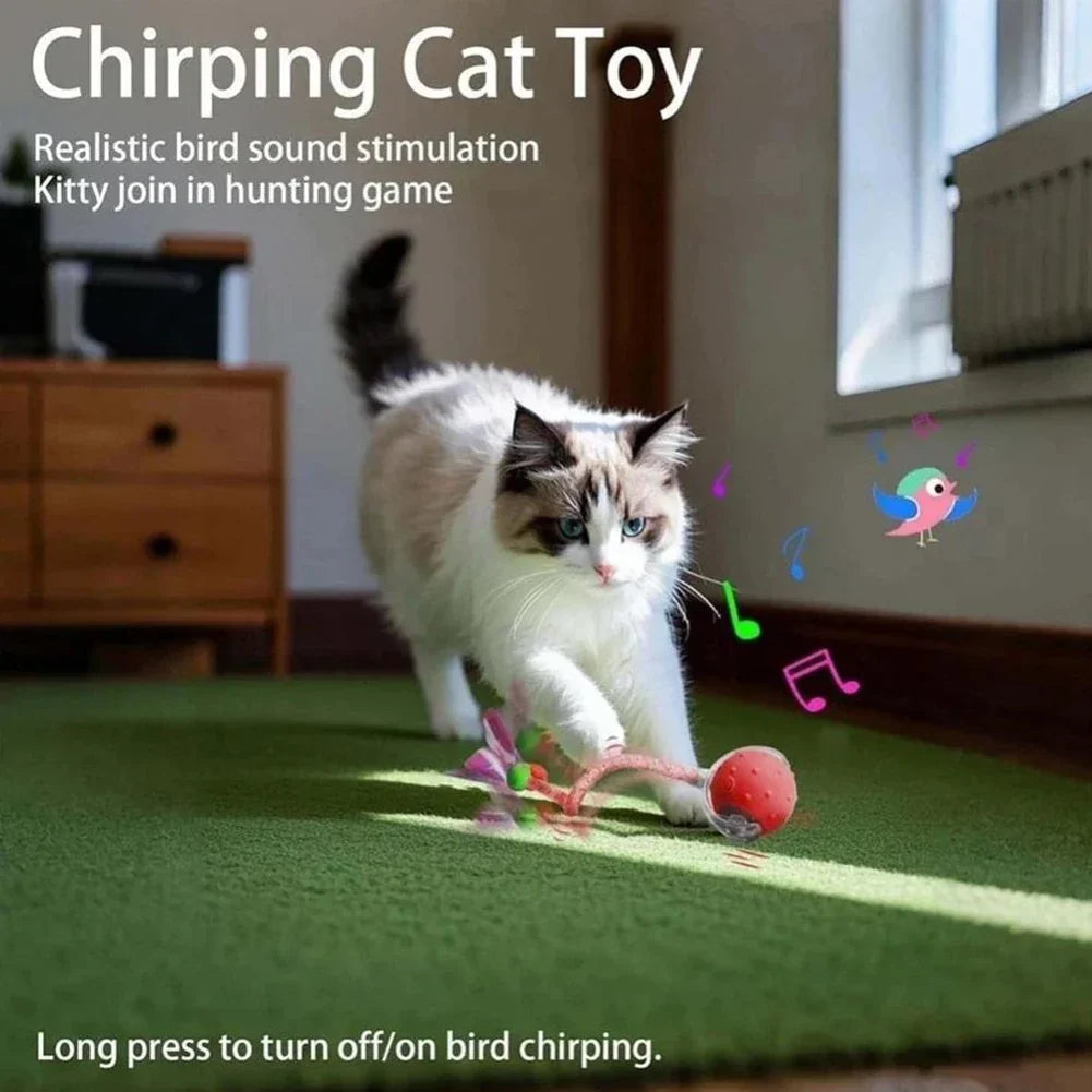 Electronic Interactive Cat Ball USB - ProPawPet.com