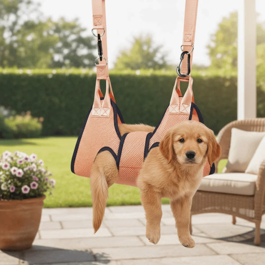 Anti Scratch Dog Grooming Hammock Bite - ProPawPet.com