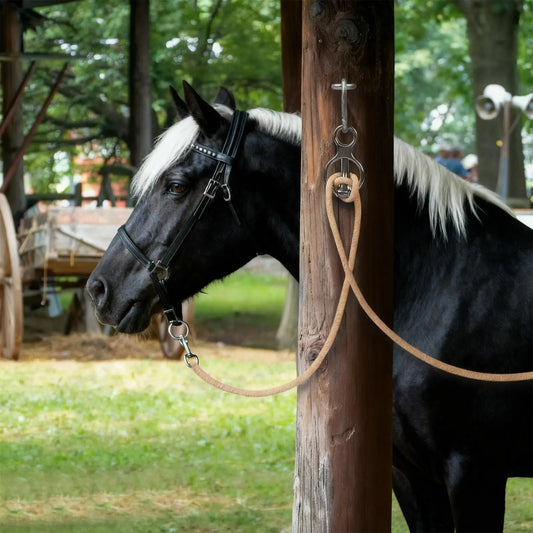 Quick Release Horse Tie Ring Reins Tie Rings - ProPawPet.com