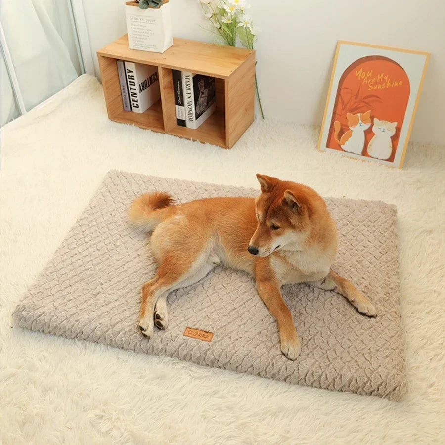Winter Short Plush Removable Washable Pet - ProPawPet.com