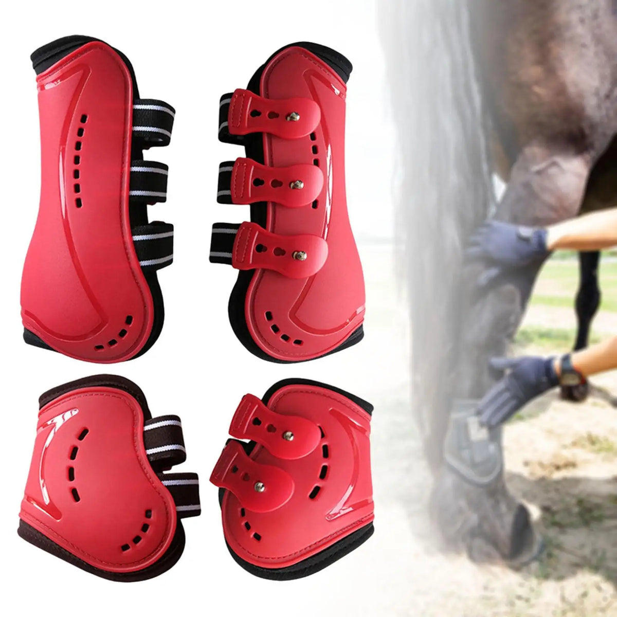 4Pcs Horse Boots Breathable Leg Protection - ProPawPet.com