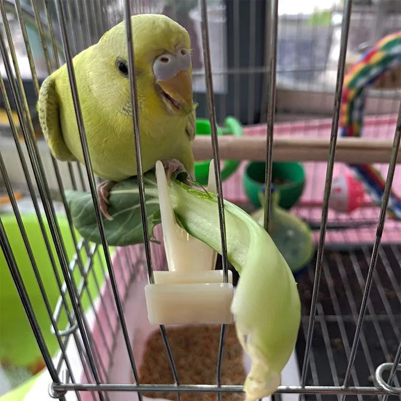 1 Pcs Bird Parrot Fruit Fork Pet Supplies - ProPawPet.com