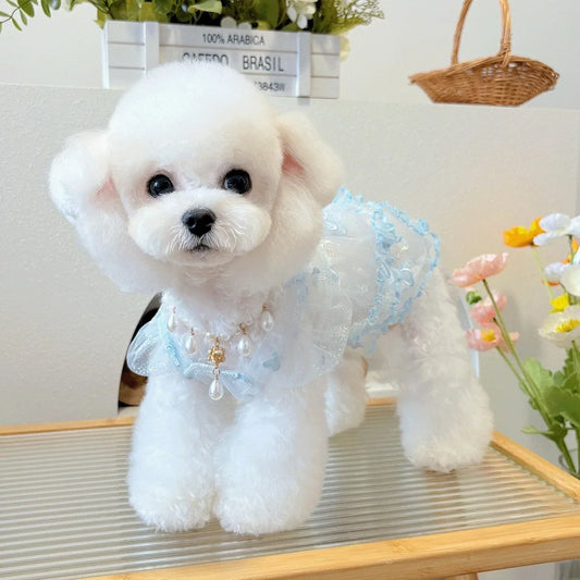 Mesh Pet Clothes Summer Puppy Sweet Princess - ProPawPet.com