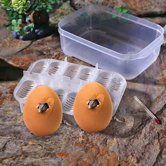 12 Grids Reptiles Egg Incubator Tray Lizard - ProPawPet.com