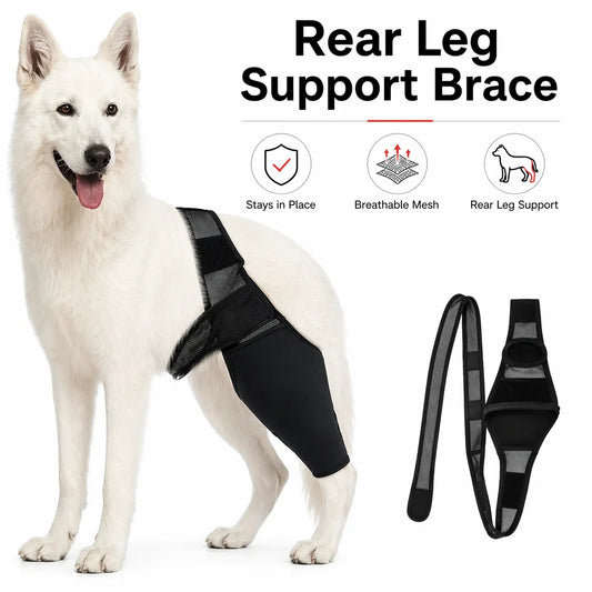 Rear Hind Leg Support Brace for Dogs - ProPawPet.com