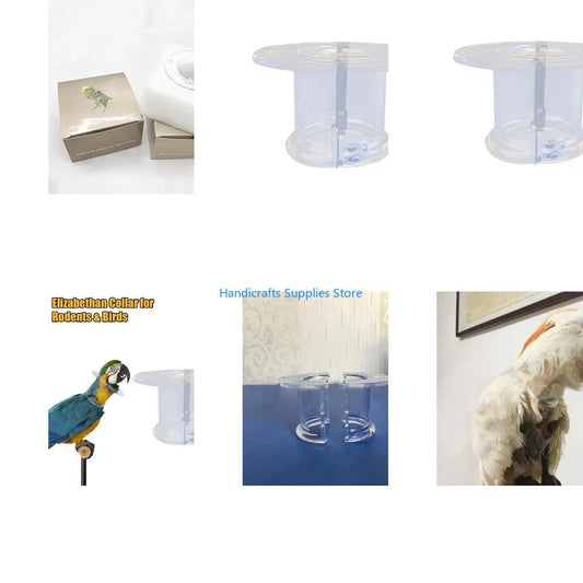 R1WA Bird Collar Parrot Anti-bite Recovery - ProPawPet.com