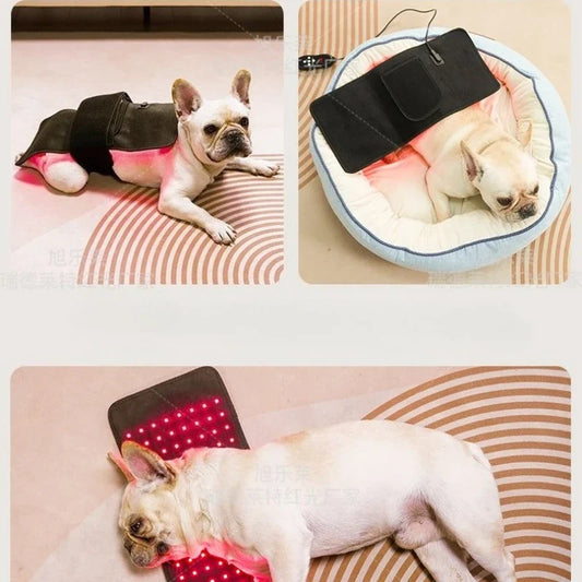 Veterinary use Red light LED therapy - ProPawPet.com