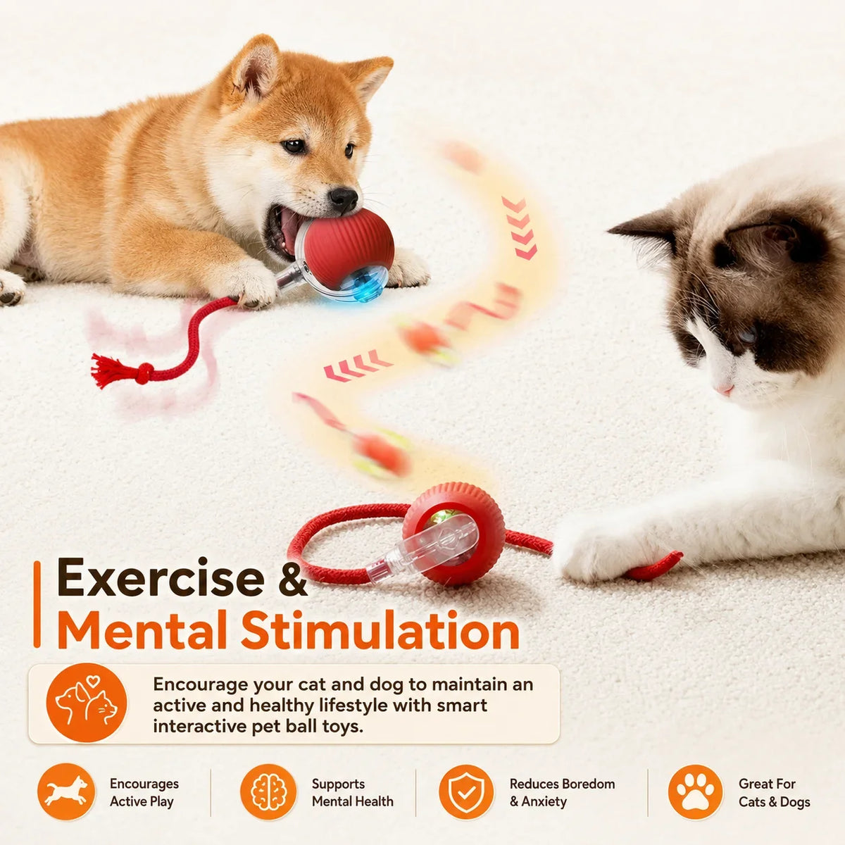 New Dog Interactive Ball Toy,Automatic - ProPawPet.com