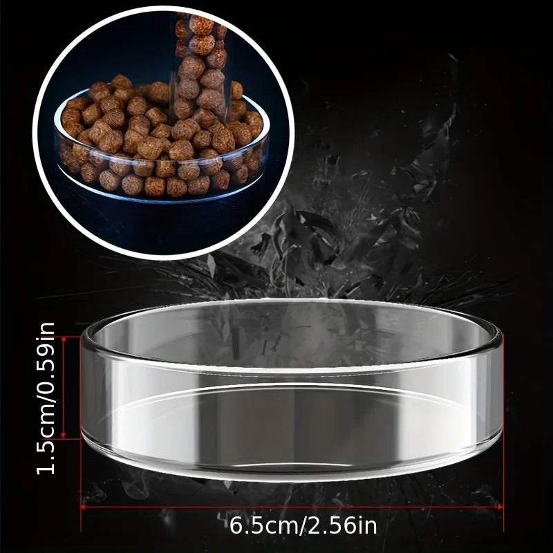 Aquarium Glass Feeding Tube & Shrimp Dish Set – photo 4