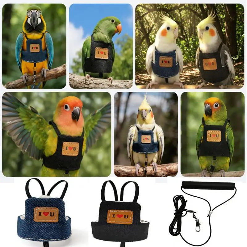 Cowboy Parrot Flying Harness Comfortable - ProPawPet.com