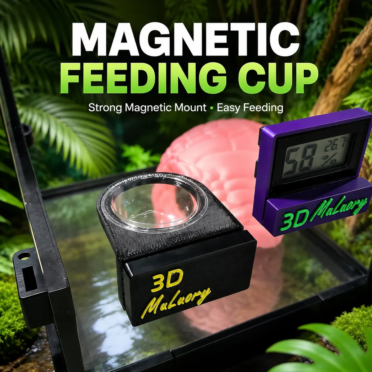 Magnetic Reptile Feeding Cup Holder Wall - ProPawPet.com