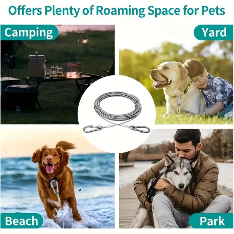 Heavy-Duty Reflective Dog Tie-Out - ProPawPet.com