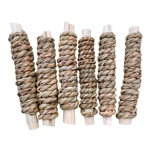 6Pcs Rabbit Chew Toy Natural Treats Sweet - ProPawPet.com