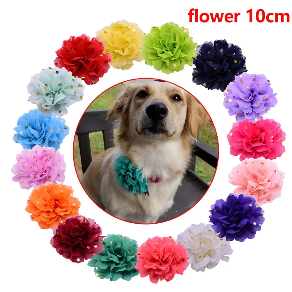20/50PCS Big Flower Collar For Dogs - ProPawPet.com