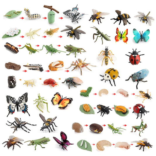 Realistic Insect Grasshopper Mosquito Cicad - ProPawPet.com