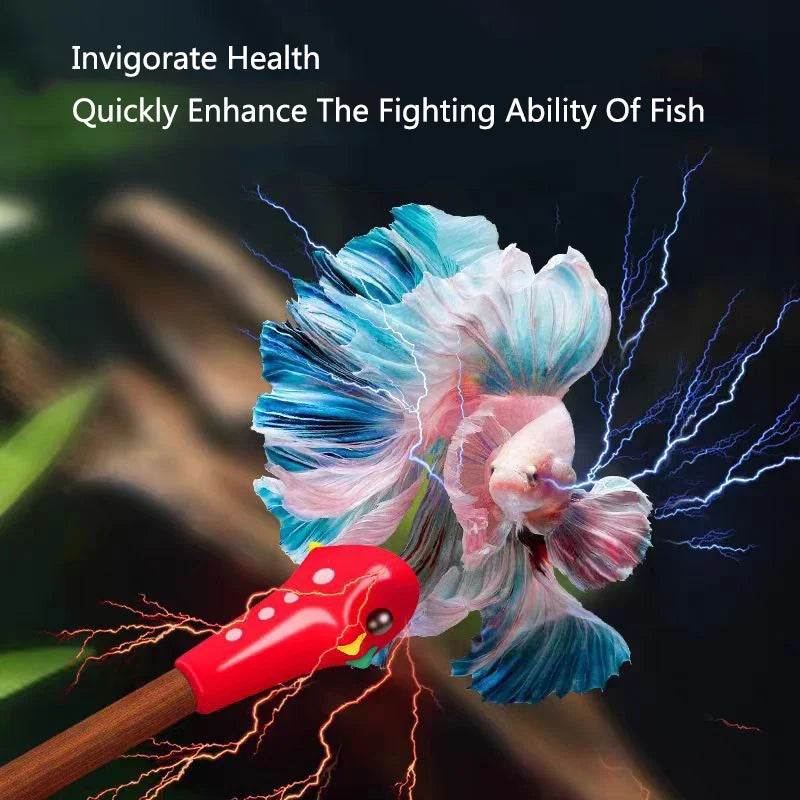 Aquarium Betta Training Wand Wooden Playing - ProPawPet.com