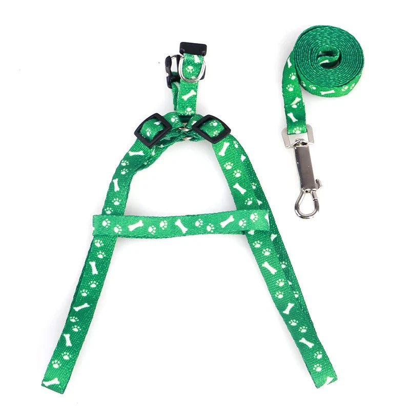 Cheap Small Dog Leash Puppy Leashes Teddy - ProPawPet.com