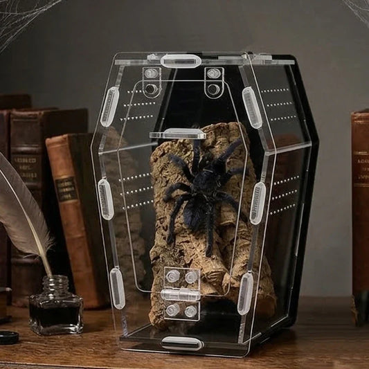 Acrylic Reptiles Box For Lizards And Turtles - ProPawPet.com