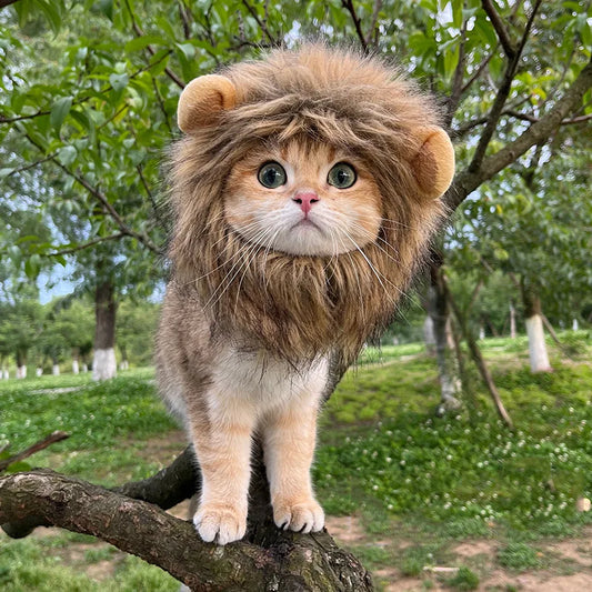 Funny Pet Cat Hat, Lion Mane Costume, Cute - ProPawPet.com