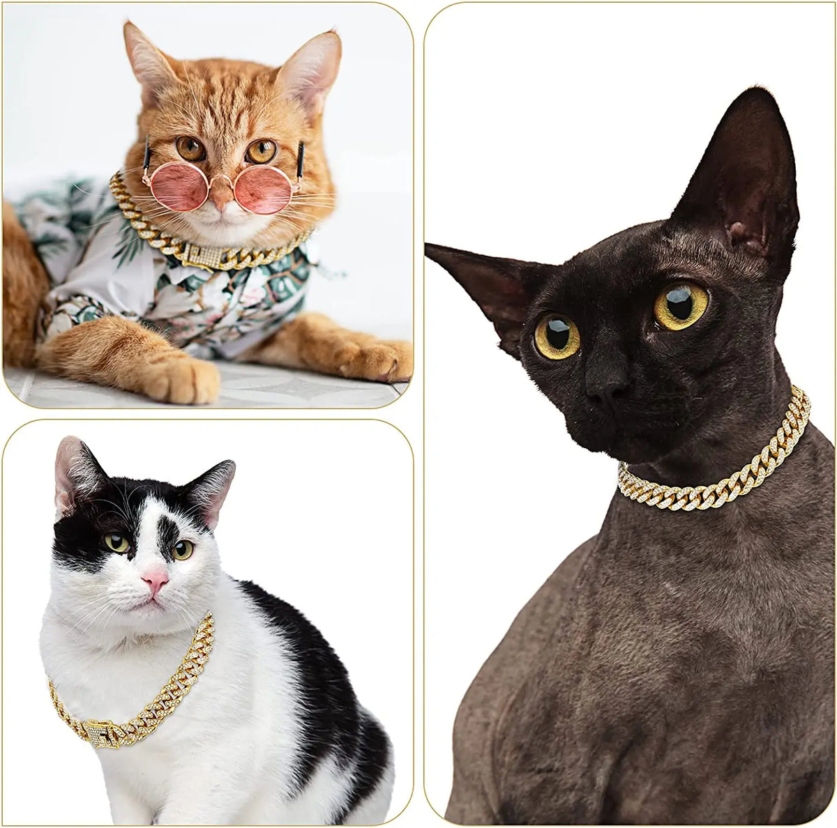 Luxury Cuban Link Cat Necklace Gold Chain - ProPawPet.com