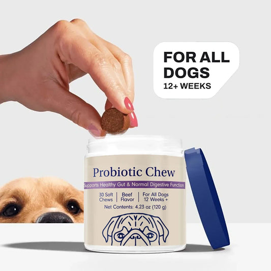 Probiotic Chews for Dogs - Probiotics for - ProPawPet.com