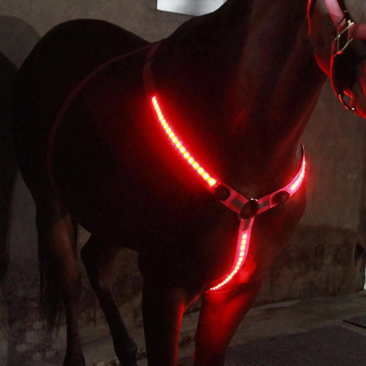 LED Luminous Horse Breast Collar Halter – 4 Colors