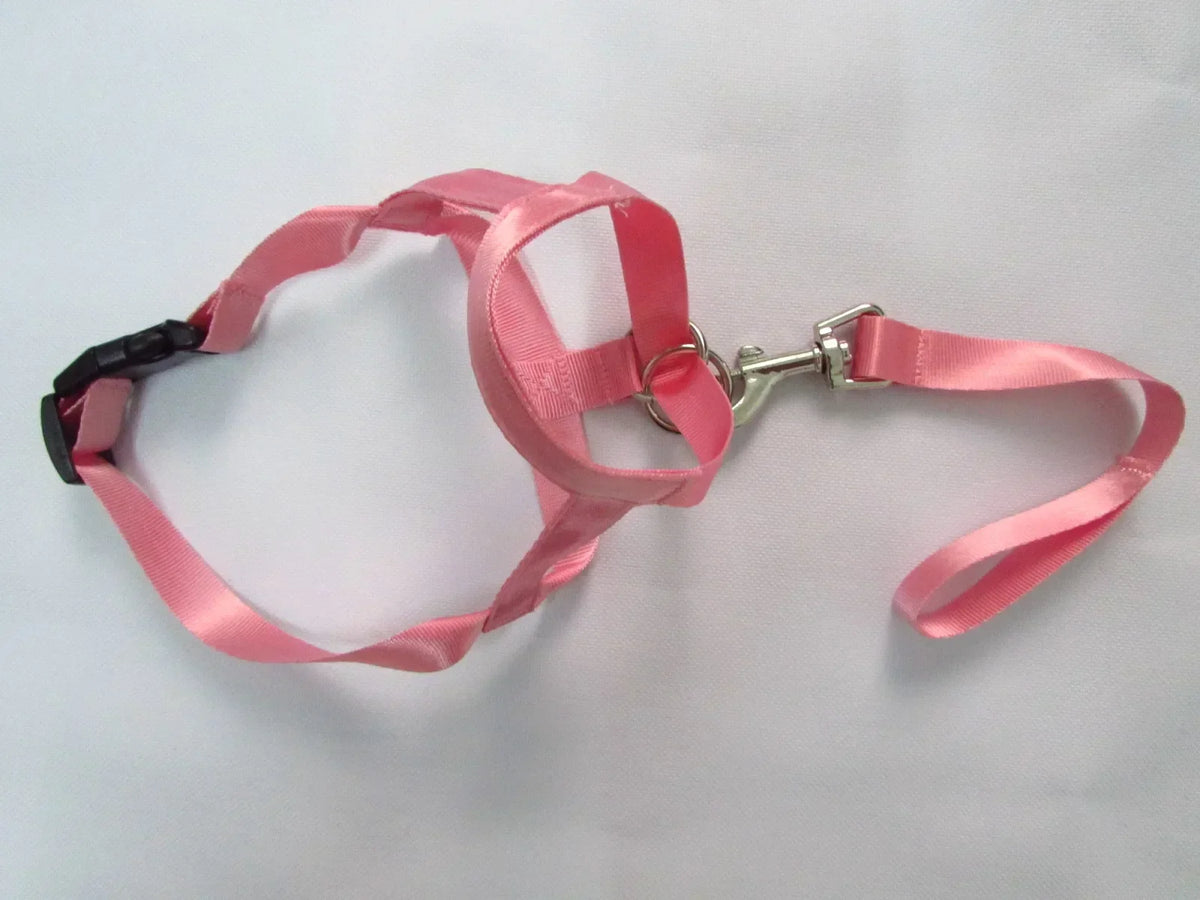 New Nylon Dog Muzzle Dogalter Dog Halter - ProPawPet.com
