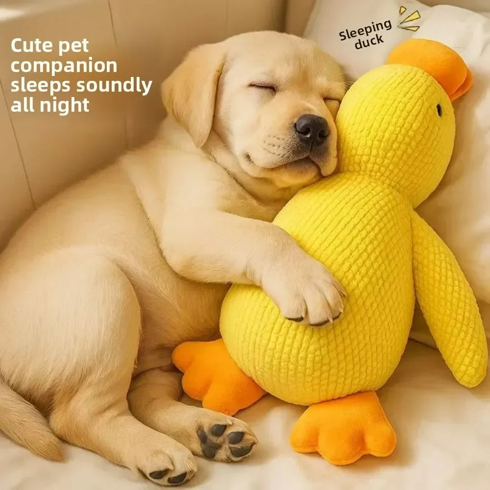 1/3PCS Things For Dogs Accessories Dog - ProPawPet.com