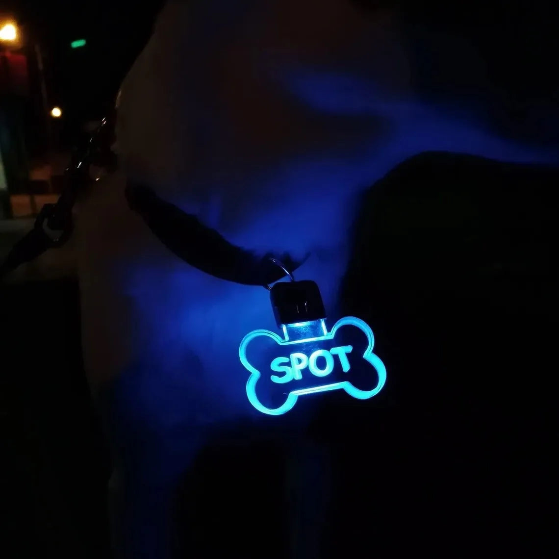Customized Laser-Engraved Acrylic LED Pet ID - ProPawPet.com